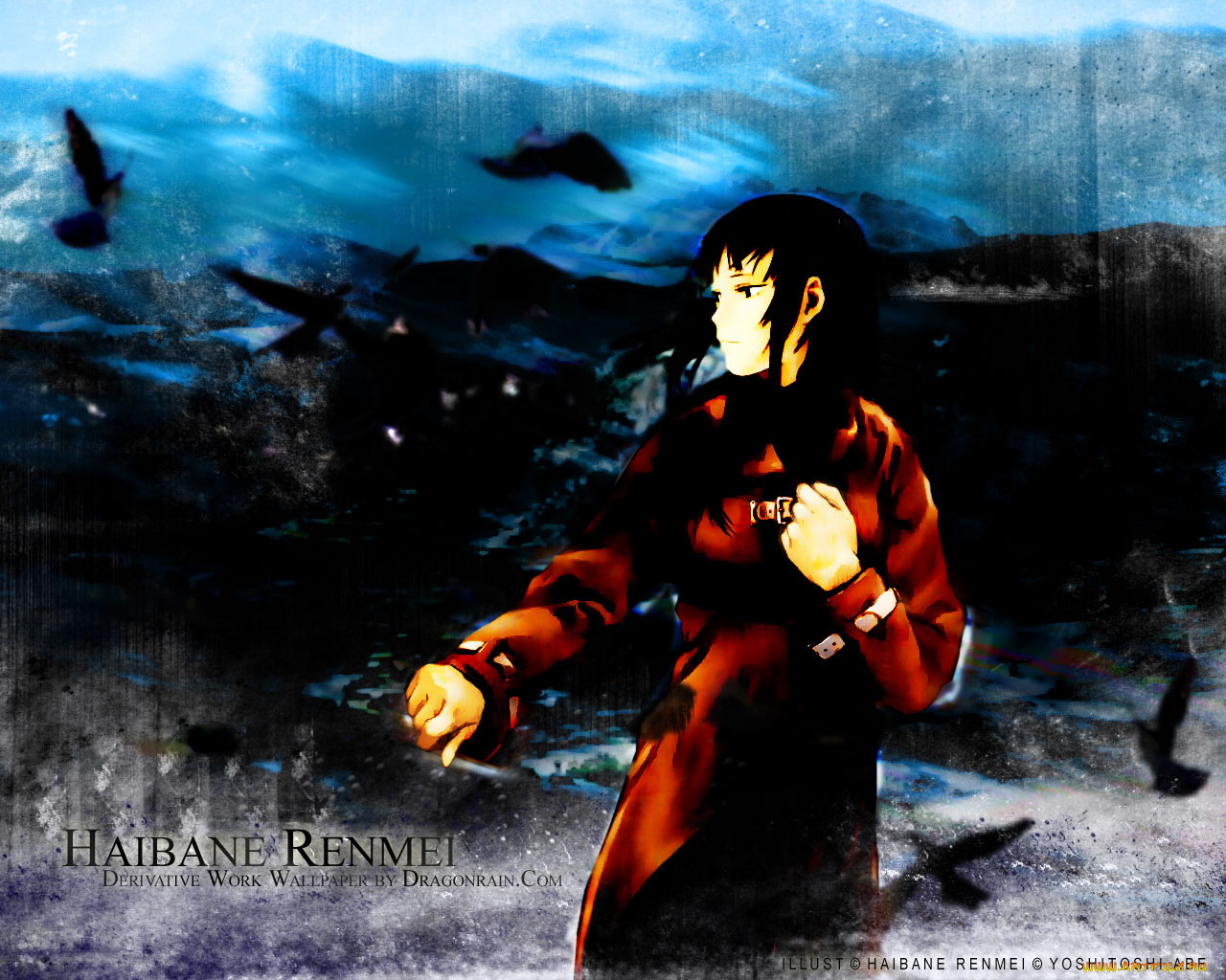 , haibane, renmei